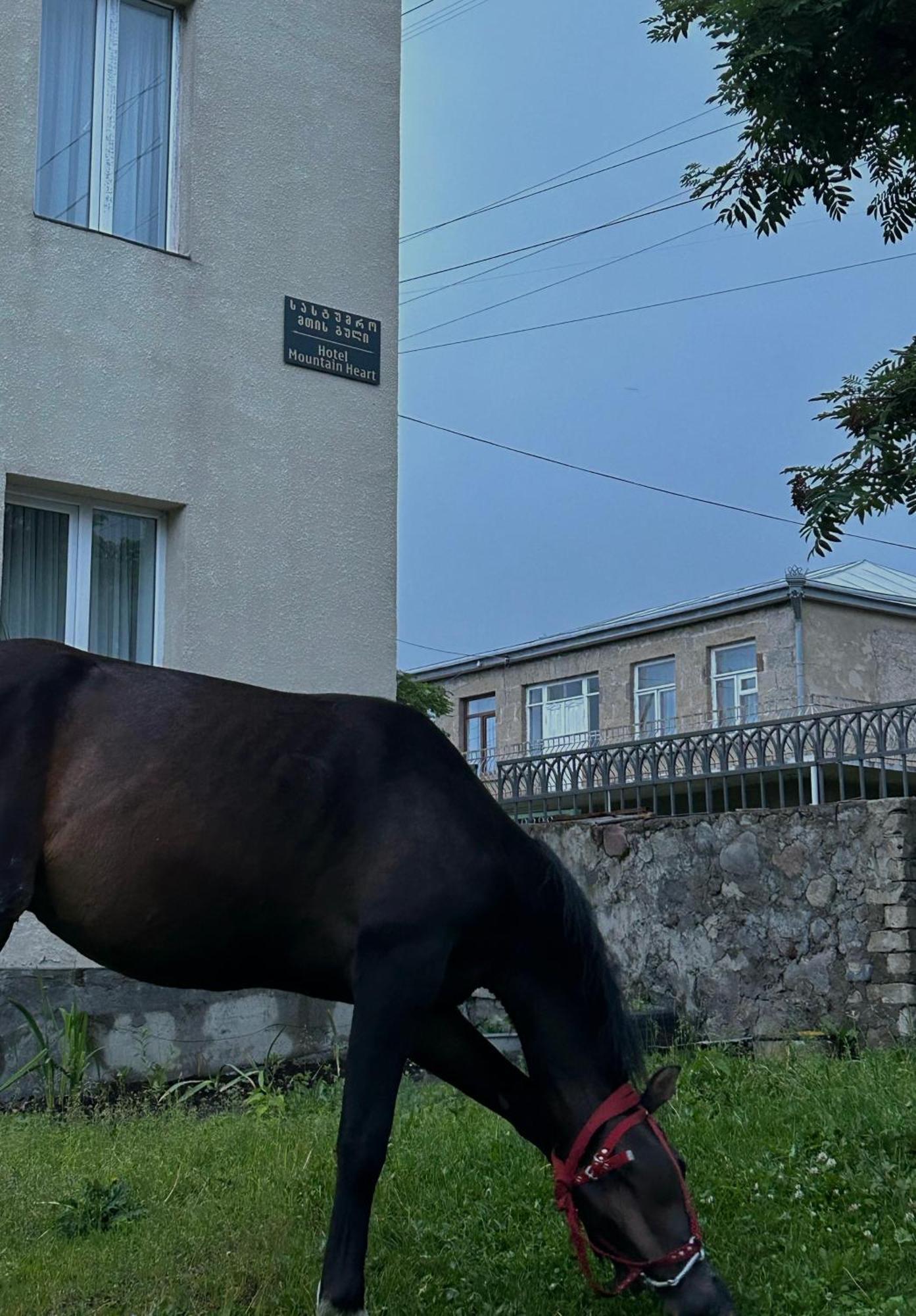 Mountain Heart Bed & Breakfast Kazbegi Exterior photo